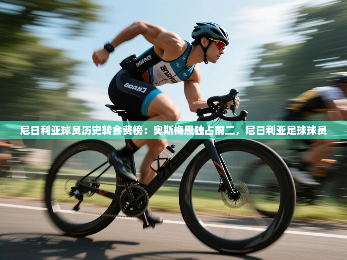 尼日利亚球员历史转会费榜:奥斯梅恩独占前二,尼日利亚足球球员