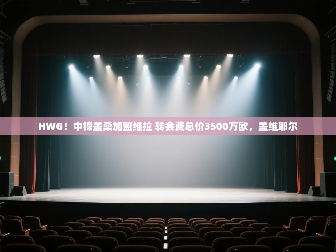 HWG！中锋盖桑加盟维拉 转会费总价3500万欧，盖维耶尔