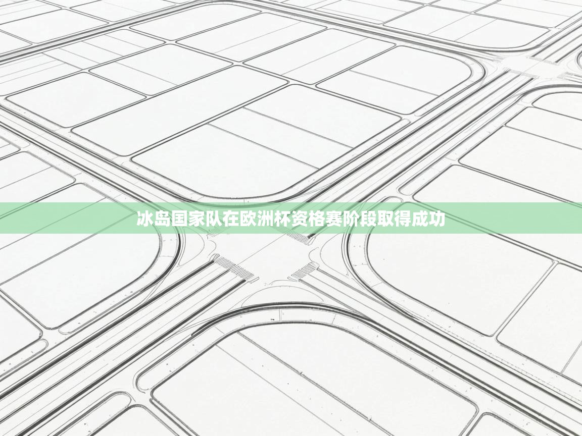 冰岛国家队在欧洲杯资格赛阶段取得成功  第1张