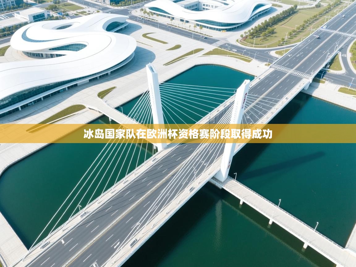 冰岛国家队在欧洲杯资格赛阶段取得成功  第2张