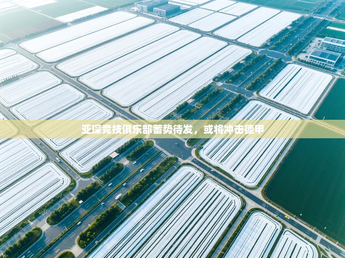 亚琛竞技俱乐部蓄势待发，或将冲击德甲  第2张