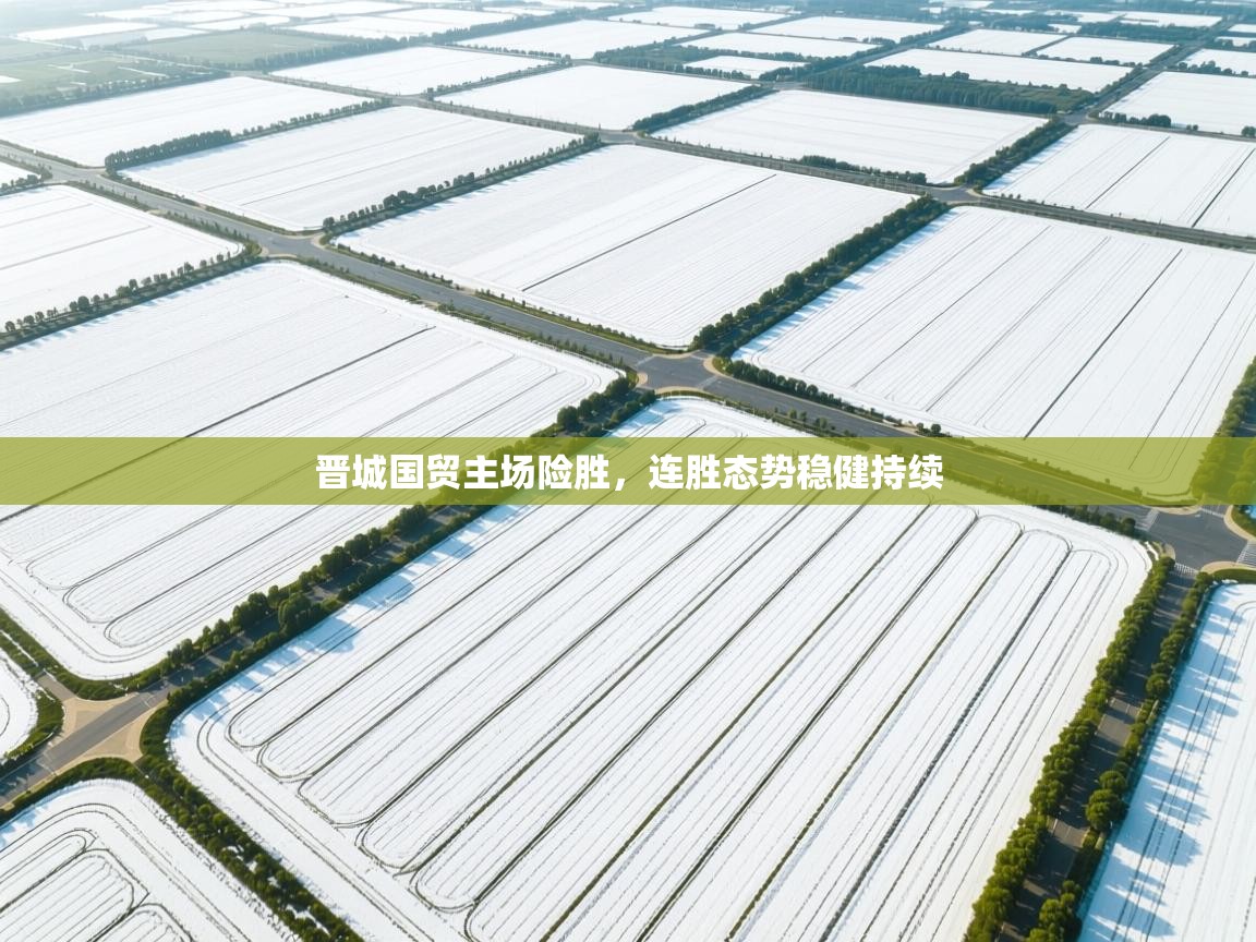 晋城国贸主场险胜,连胜态势稳健持续